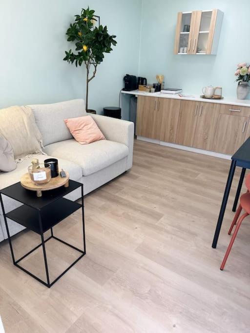 Wellness Studio Tiel Met Sauna En Jacuzzi Exterior foto